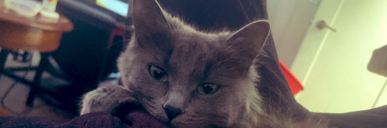 Sayless_Shumail's profile banner image