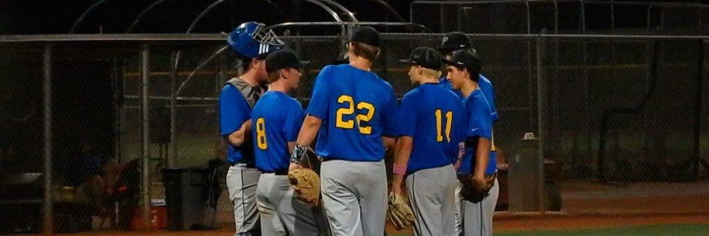 pcds_baseball's profile banner image