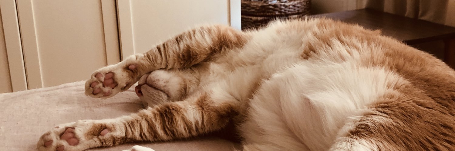 MyMissus's profile banner image