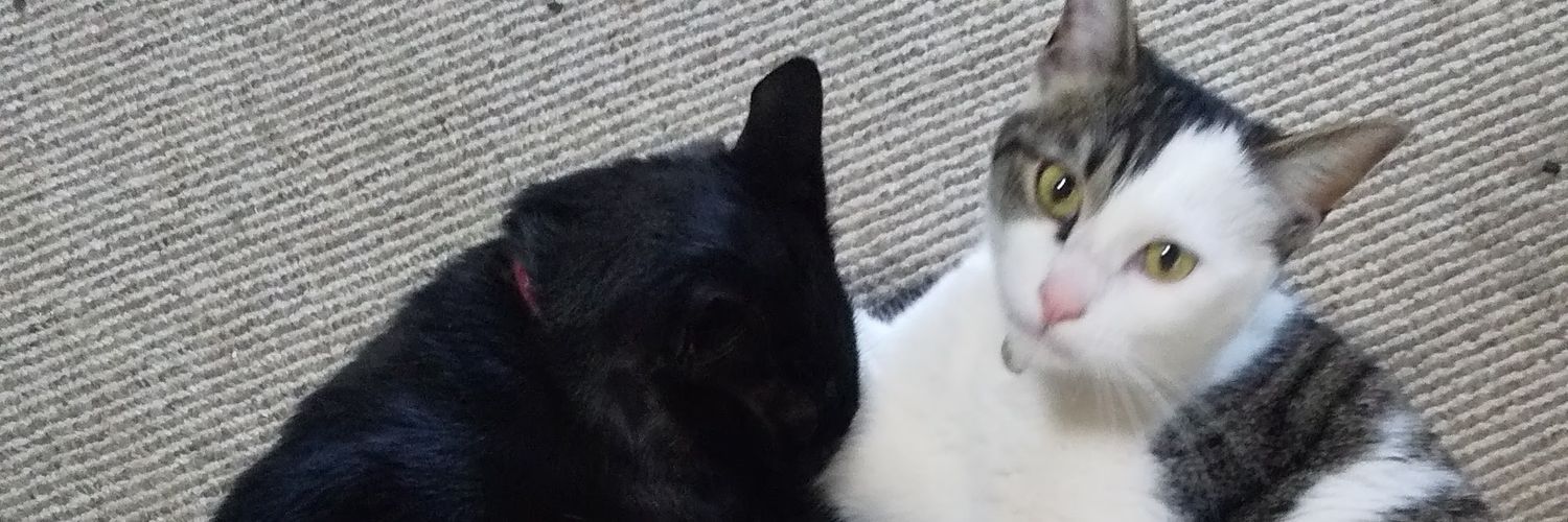 ssssoumak's profile banner image