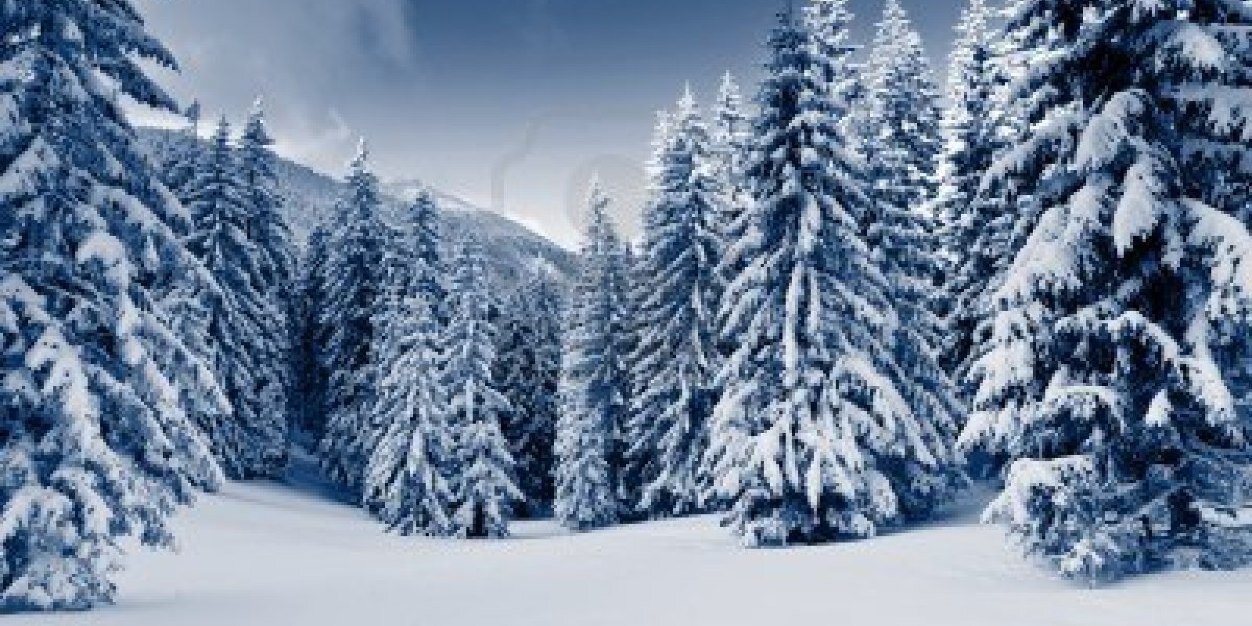 terynnichole's profile banner image