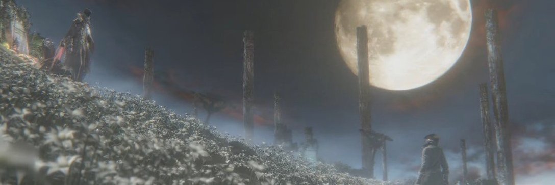 LunarPhoenix0's profile banner image