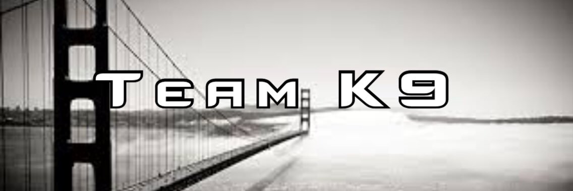 Team K9 banner