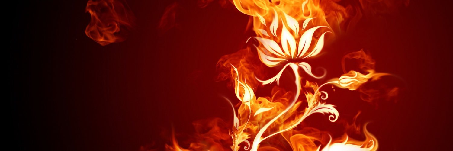 HADALYType2052's profile banner image