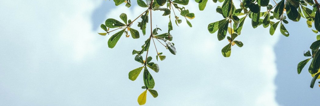 bee_87's profile banner image