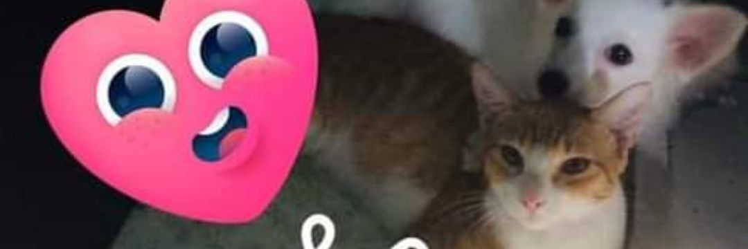 Briggszy12's profile banner image
