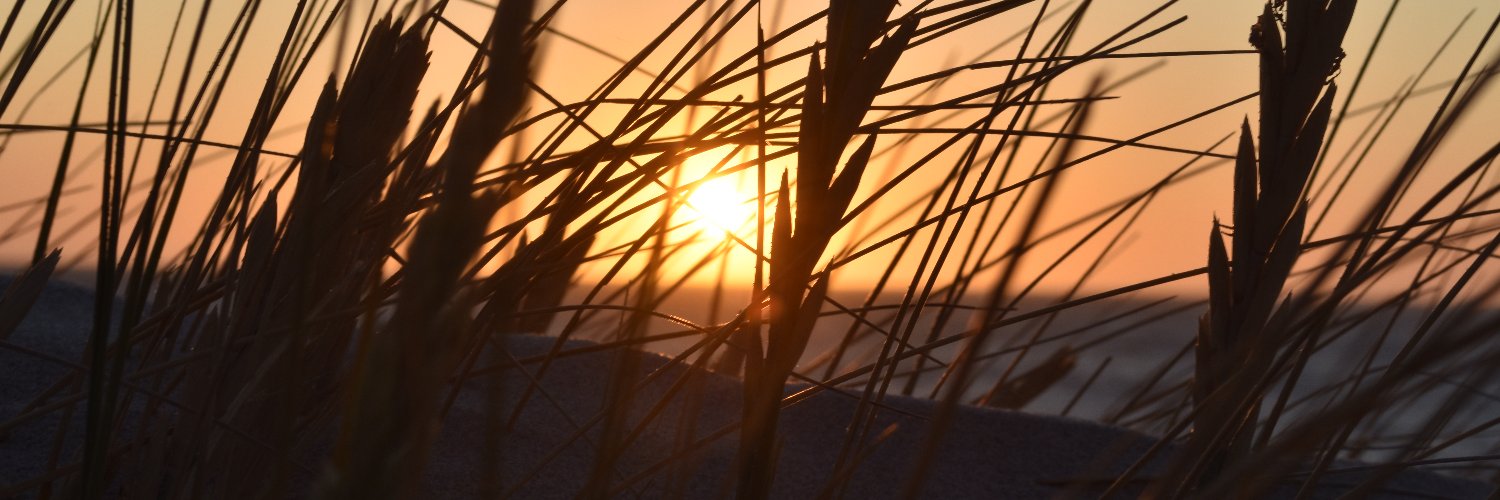 CaftyMan's profile banner image