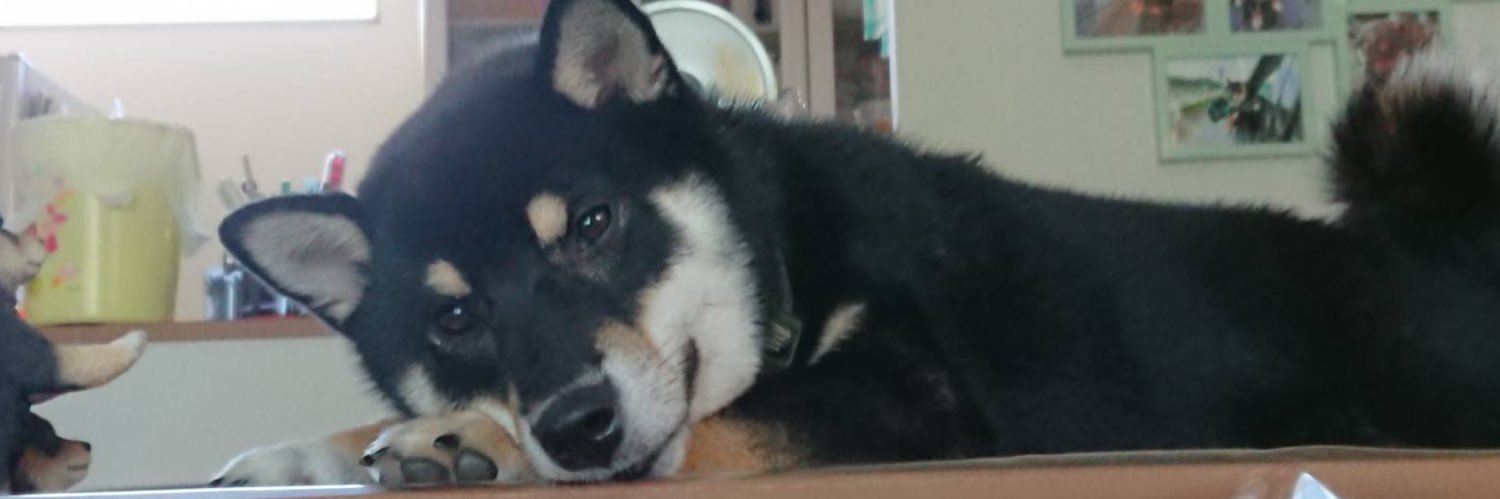 Mayu___1114_'s profile banner image