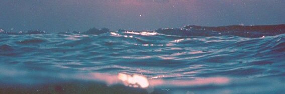 v1tal_f0rces's profile banner image