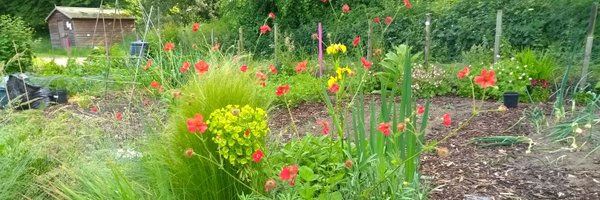 discursivephil Profile Banner