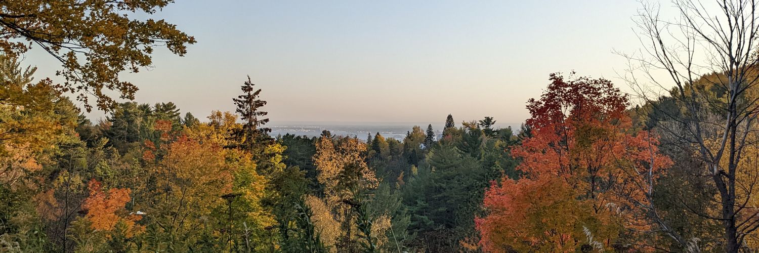 SebastianSchnob's profile banner image