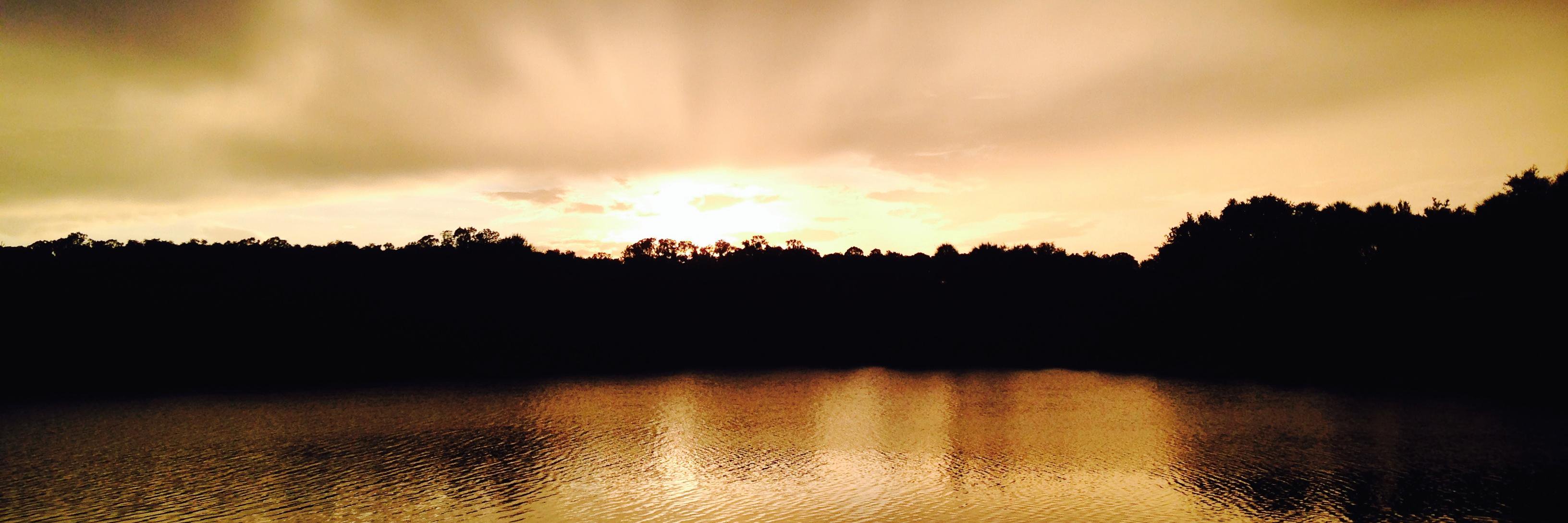 TamelaTweets's profile banner image
