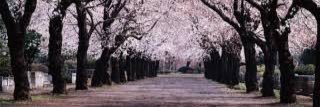 単語は読んで覚えるもの banner