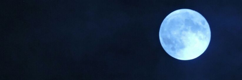 yunulee's profile banner image