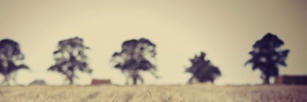 YoKennedyRaps's profile banner image