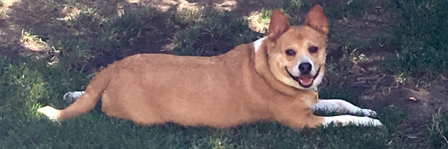 IAmRufus209's profile banner image