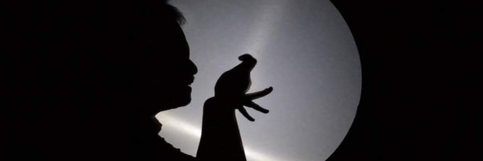 prestoraja's profile banner image