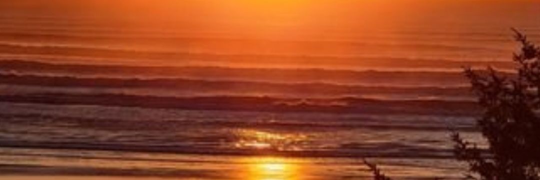 surfncoin's profile banner image