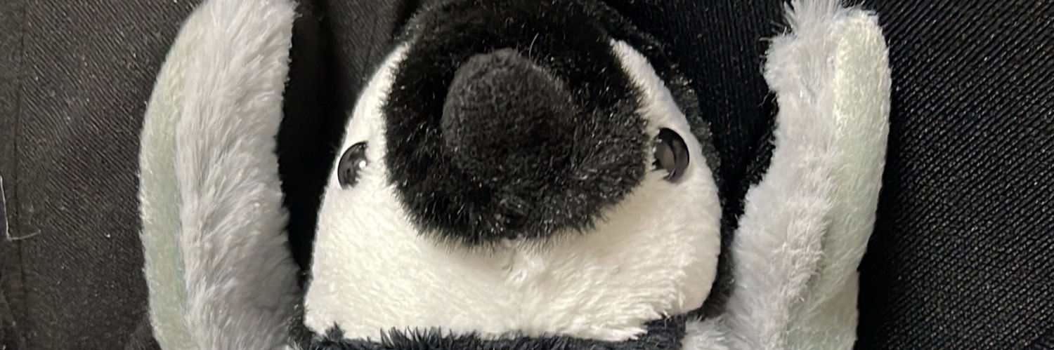 nb_zigu's profile banner image