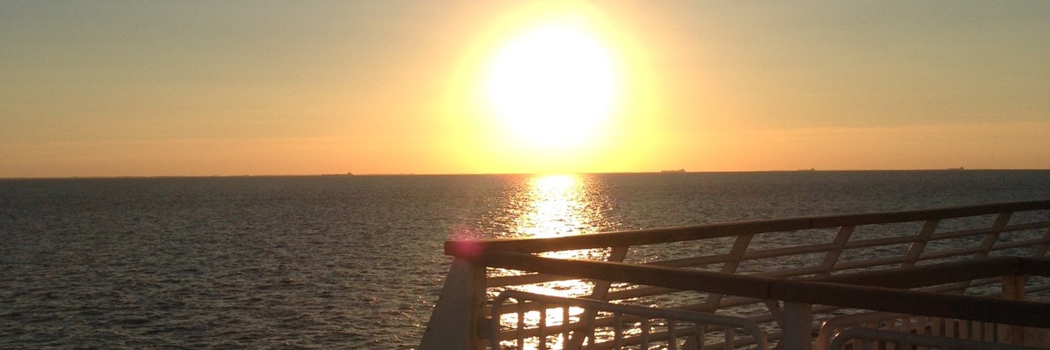 SeaShellMShelly's profile banner image