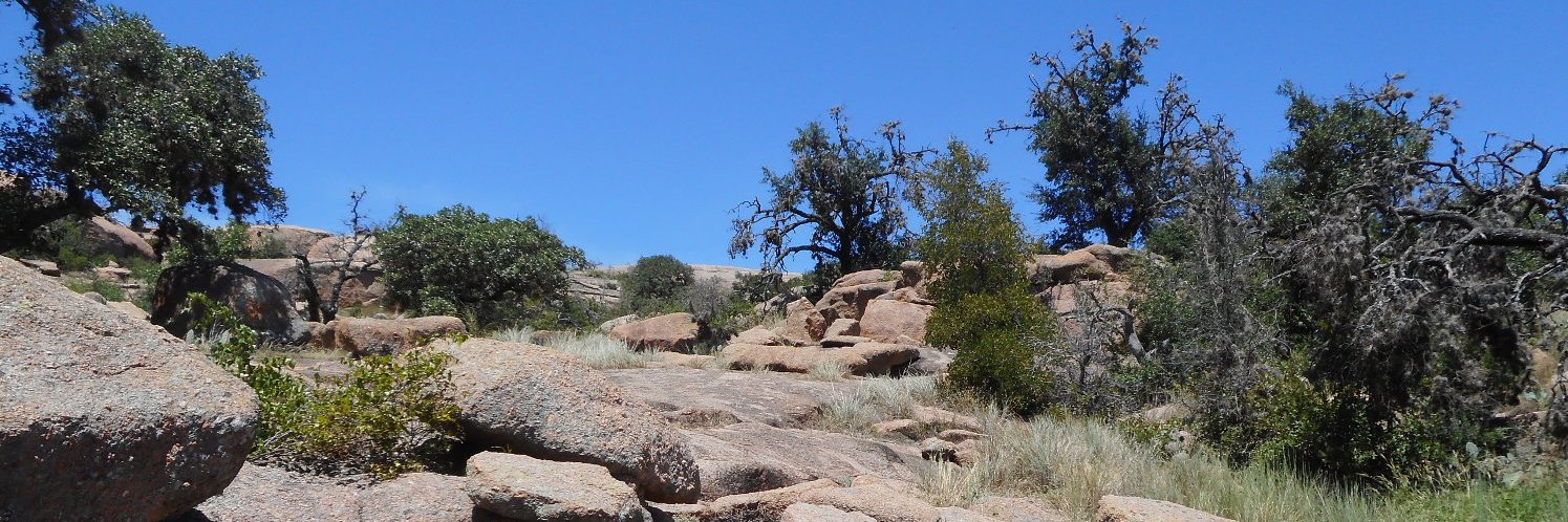 cfbearden's profile banner image