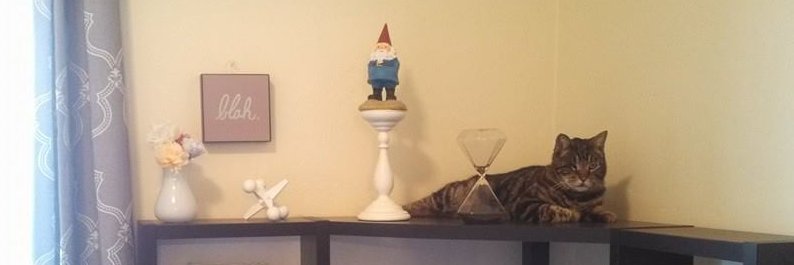 Chandler Wood banner