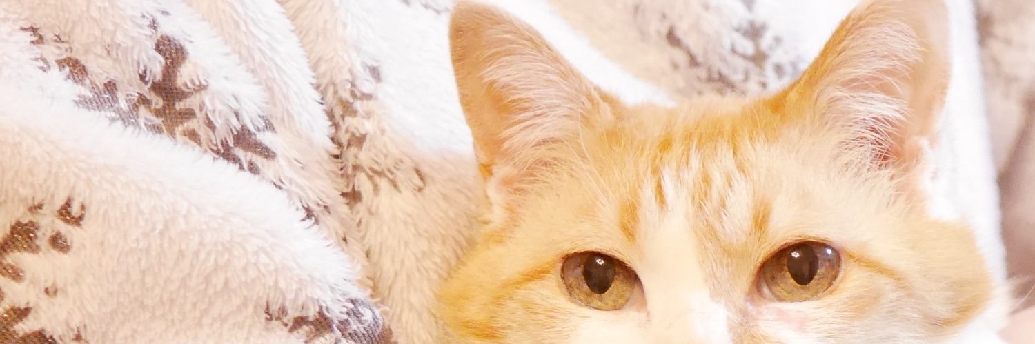rinrin_neko's profile banner image