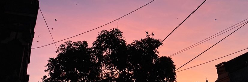 diliana_devi's profile banner image