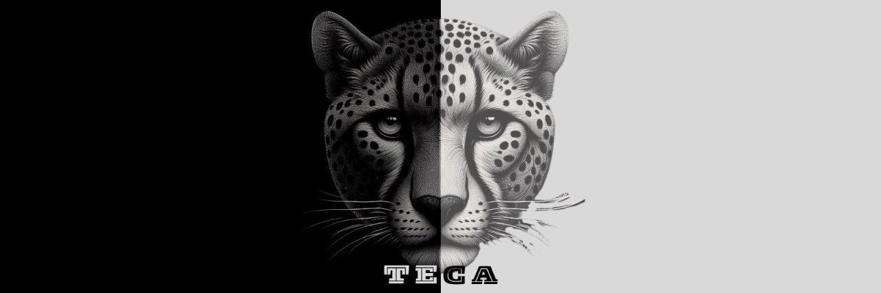 TECA's banner