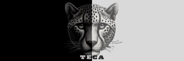 CryptoTeca__ Profile Banner