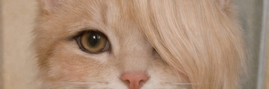 Sheelaan's profile banner image
