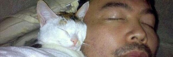 shamilsh Profile Banner