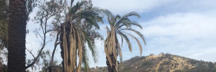 cuddahman's profile banner image
