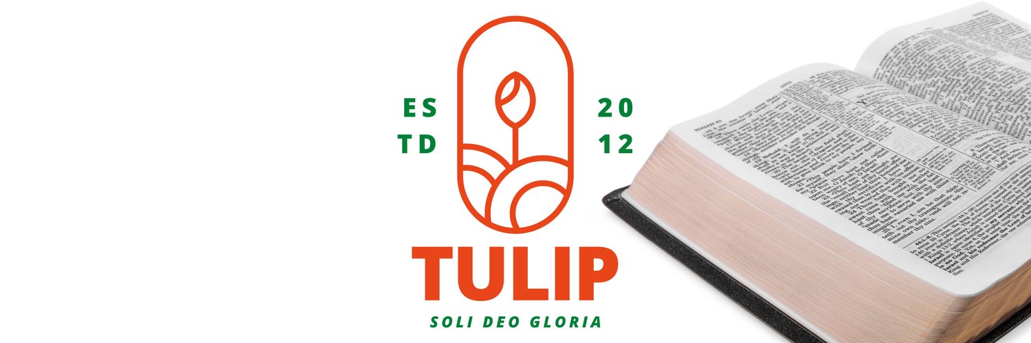 TulipSDG's profile banner image