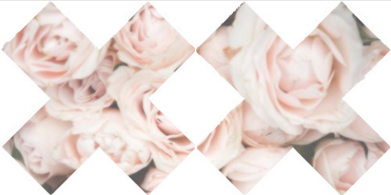 myshytcold's profile banner image