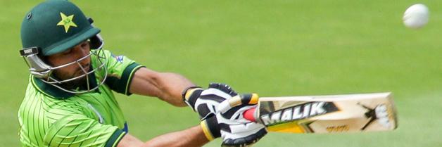 Cricket_3's profile banner image