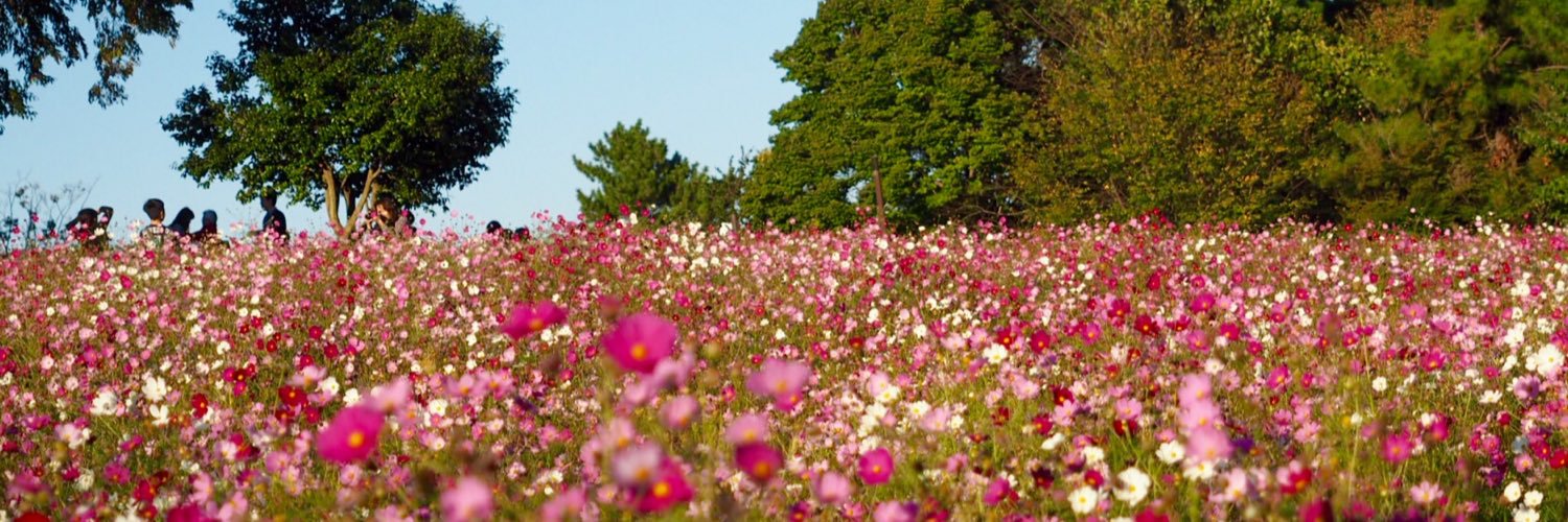 JapanYoshi0922's profile banner image