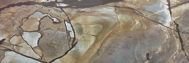 Shannon Clute banner