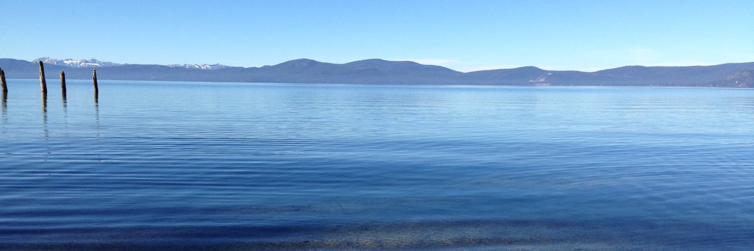 Jessica Calefati banner