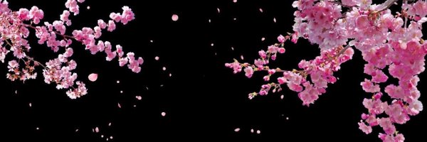 Percyrl_ Profile Banner