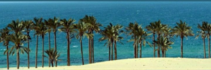 JOMOL971's profile banner image