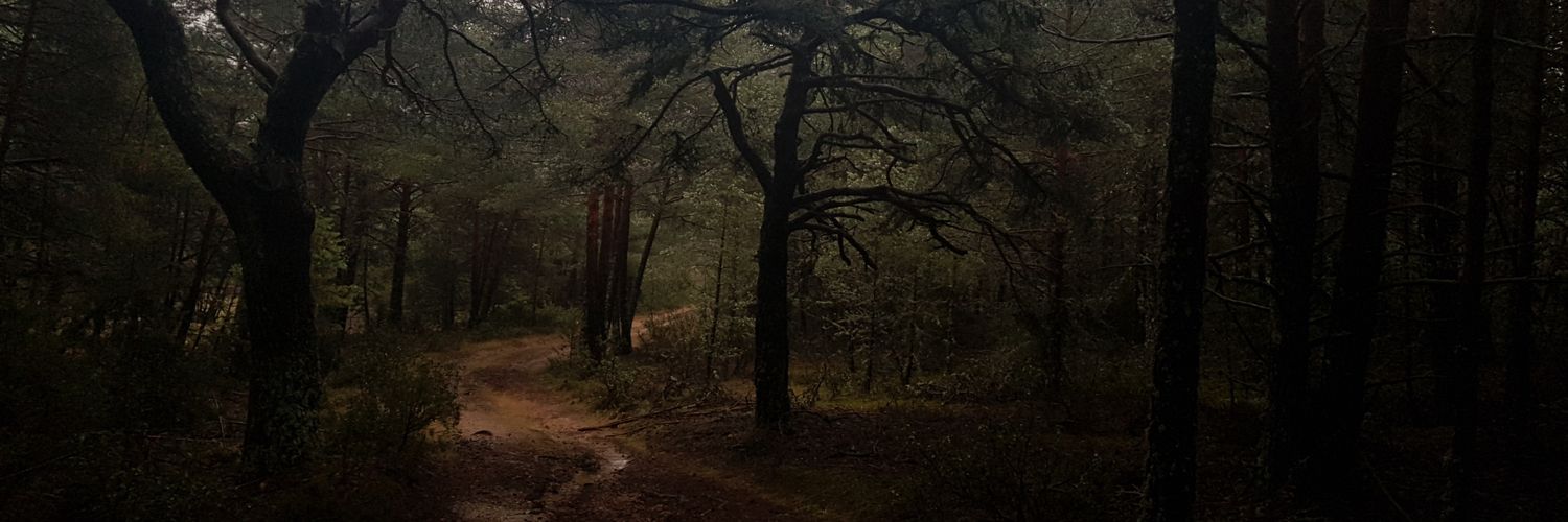 luqueco's profile banner image