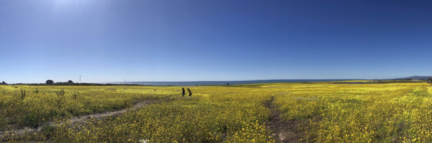 Bruce Jones, MBA banner