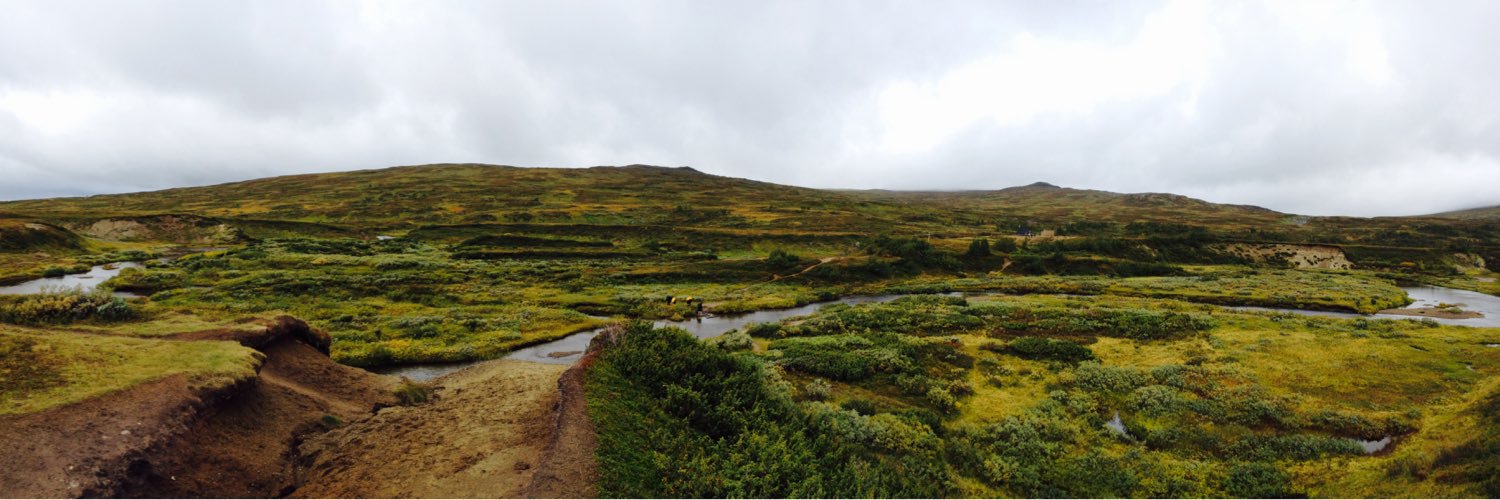 Tomas Linnala banner