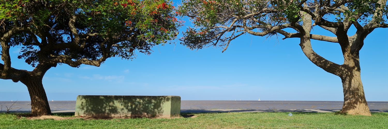 Fedecativelli's profile banner image