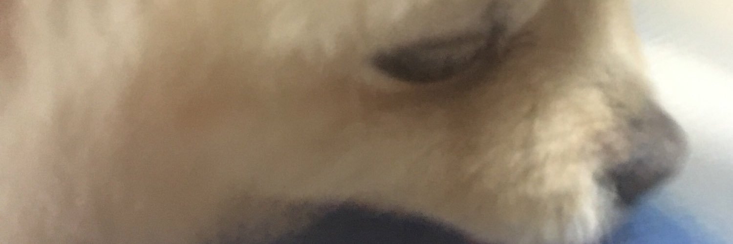 ktrikr's profile banner image