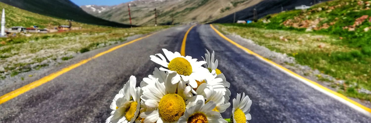 tugcekoroglu53's profile banner image