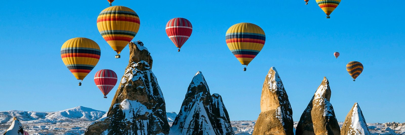 Hills Balfour MICE banner