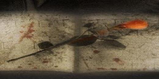 Librosvampirico's profile banner image