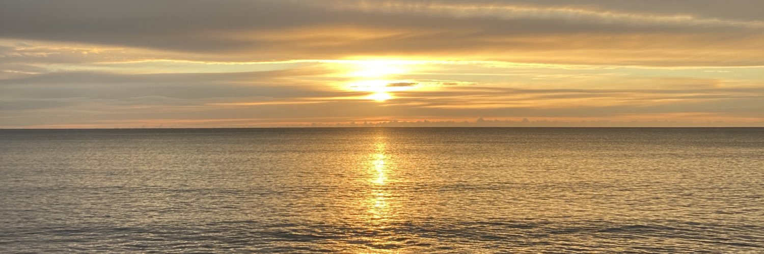 angiesuesmith's profile banner image